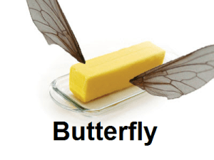 Literal butterfly